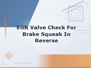 Checking the Egr Valve for Brake Squeak in Reverse