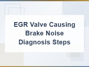 Egr Valve Causing Brake Noise Diagnosis Steps