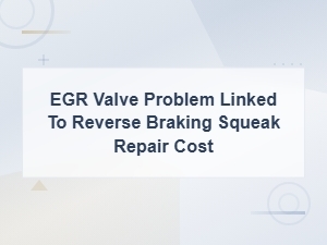 Egr Valve Problem Linked to Reverse Braking Squeak Repair Cost
