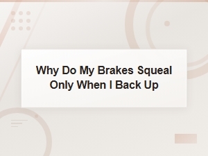 Why Do My Brakes Squeal Only When Backing Up? Causes and Fixes