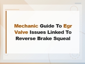 Egr Valve Issues Linked to Reverse Brake Squeal Mechanic Guide