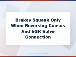 Why Brakes Squeak Only When Reversing and Egr Valve Link