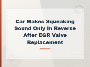 Car Squeaking in Reverse After Egr Valve Replacement: Causes and Fixes