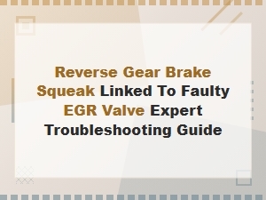 Reverse Gear Brake Squeak Linked to Faulty Egr Valve: Expert Troubleshooting Guide
