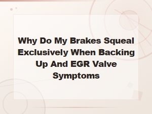 Brakes Squeal When Backing Up and Egr Valve Symptoms Explained